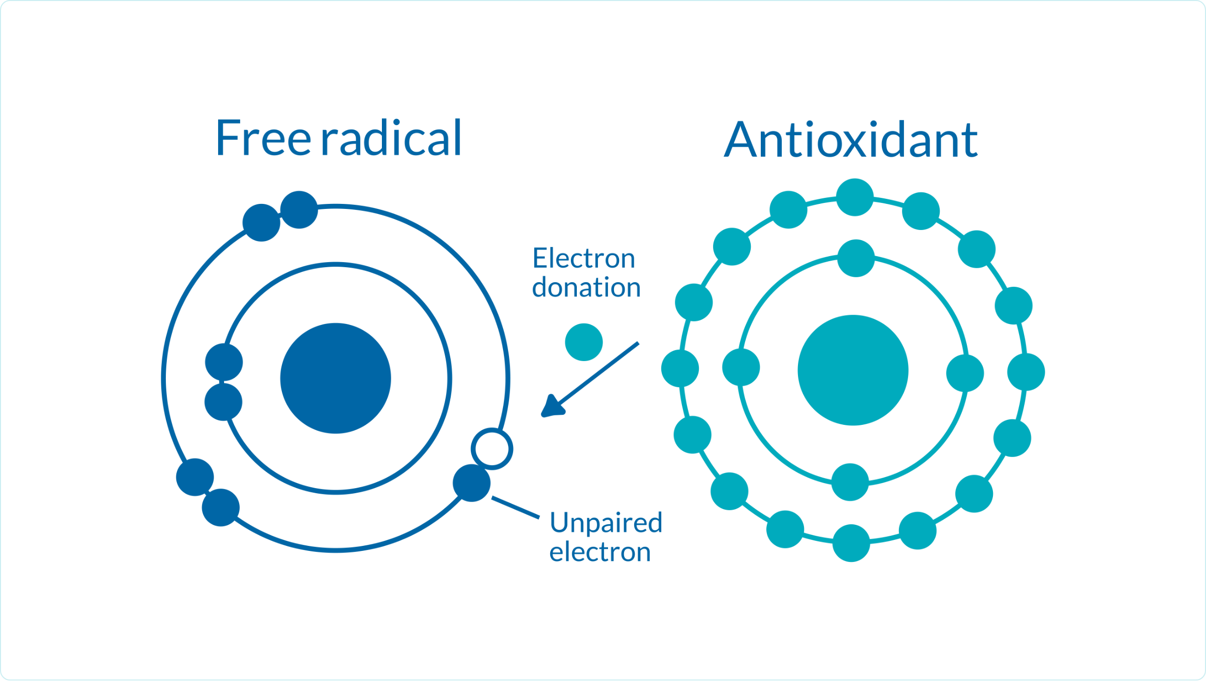 Antioxidant