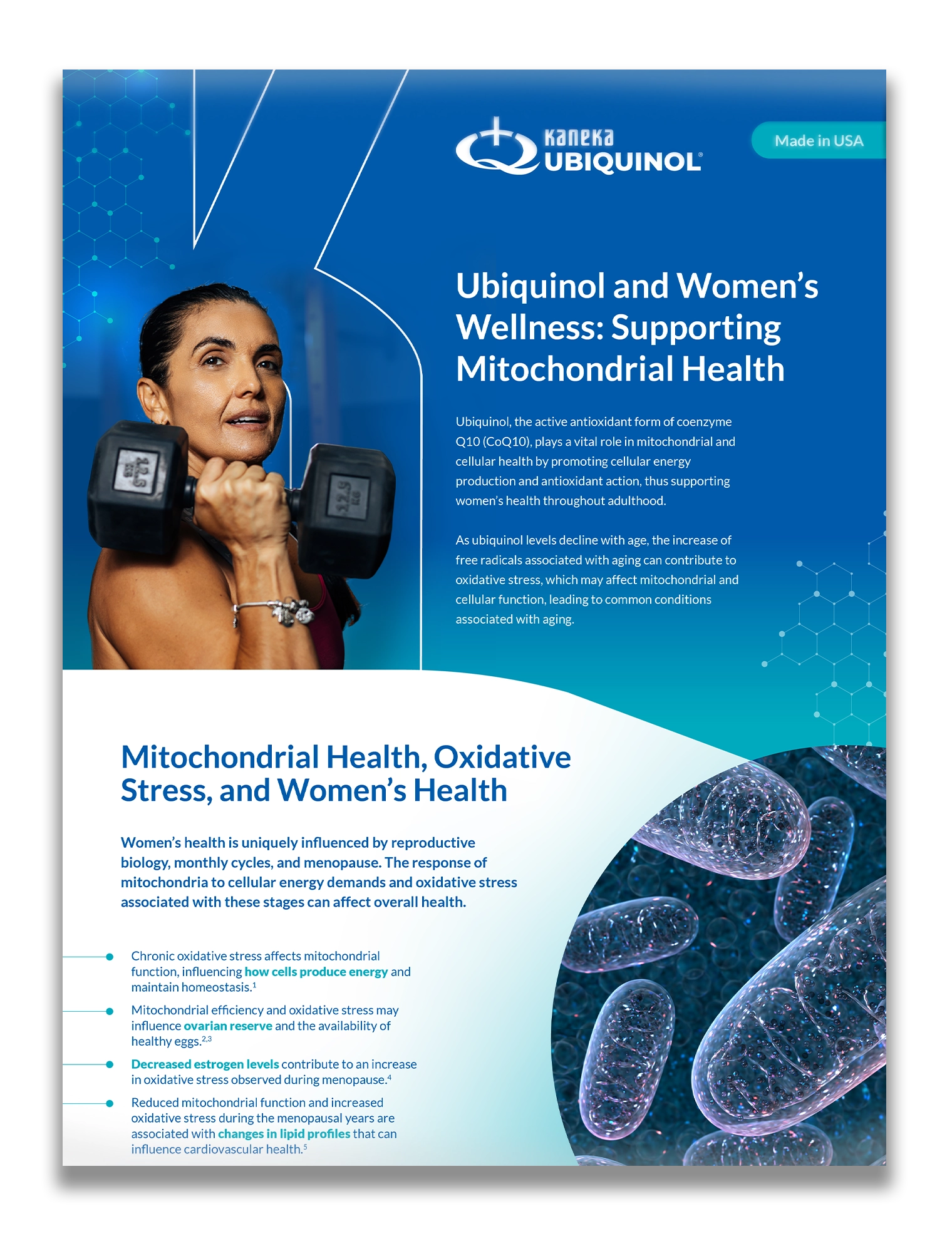 Ubiquinol and Women's Wellness: Supporting Mitochondrial Health - Infographic