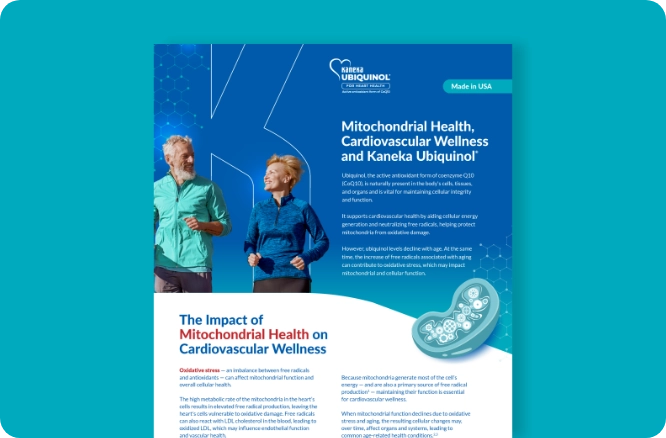 Kaneka Nutrients infographic: The Impact of Mitochondrial Health on Cardiovascular Wellness